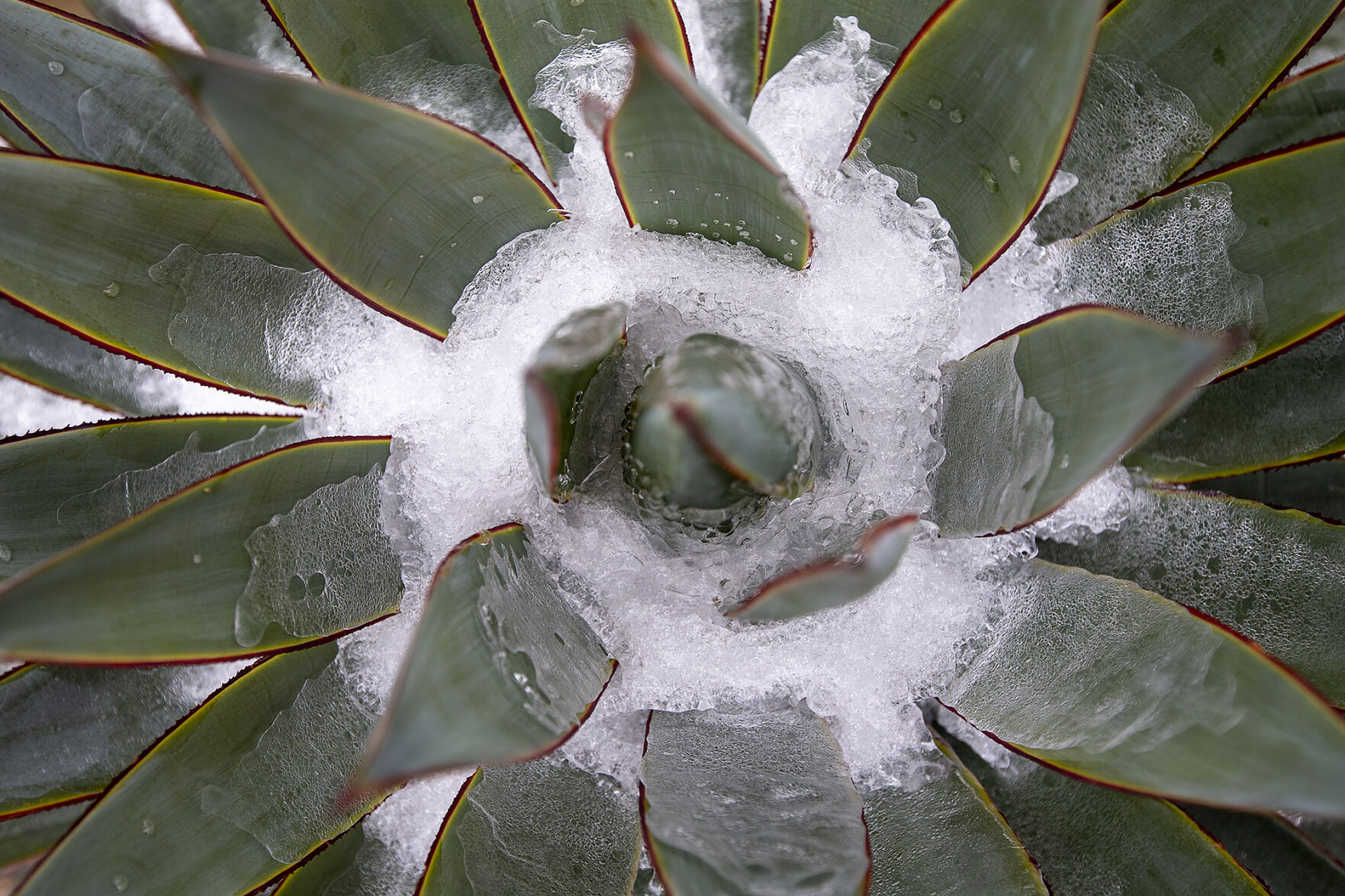 Winter weather